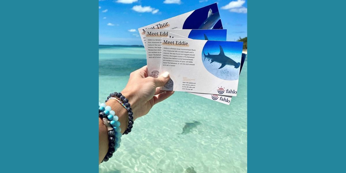 A Fahlo QR Code that links to tracking sharks.
