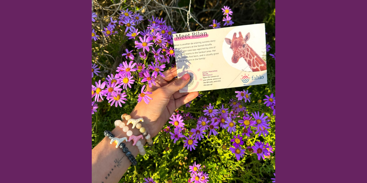 A Fahlo QR Code bracelet, which can be used to track Bilan, the giraffe.