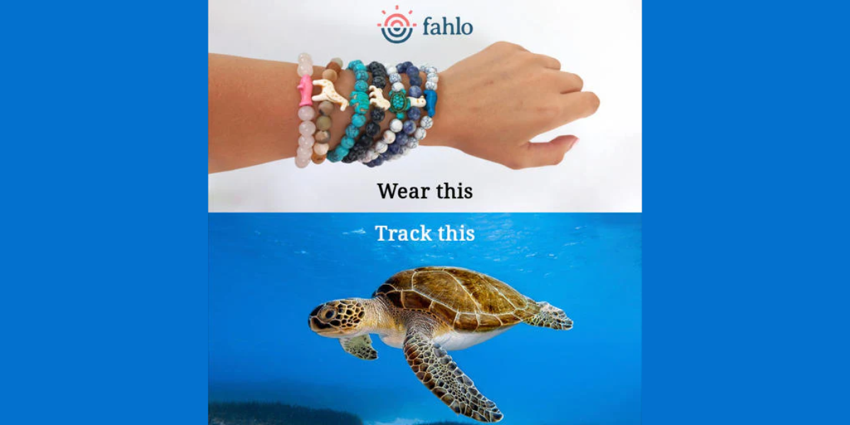 A human hand with Fahlo QR Codes, with a turtle in another image.