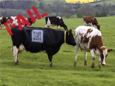qr code best practices