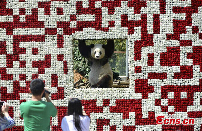 Yunnan Wildlife Zoo QR Code