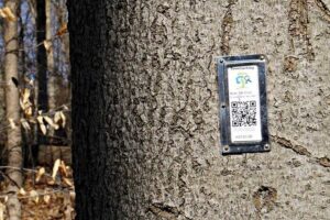 QR Codes in Canada